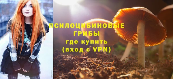 ECSTASY Алексин