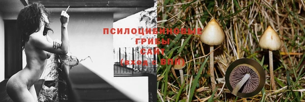 apvp Армянск