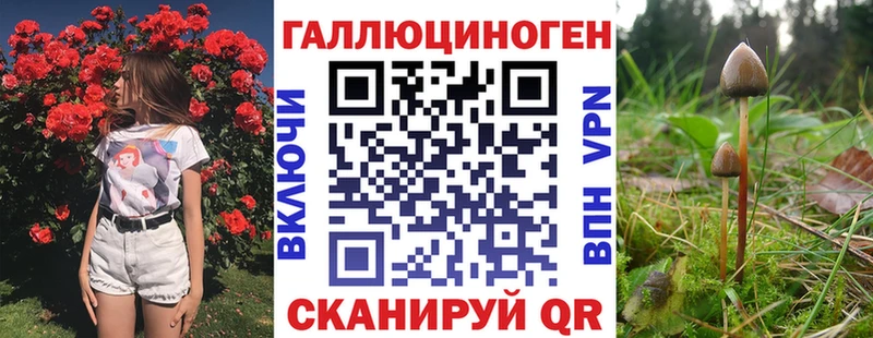 Галлюциногенные грибы Cubensis Новый Уренгой
