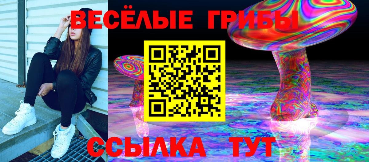 Галлюциногенные грибы Psilocybe  Вход с VPN  Галлюциногенные грибы Psilocybine cubensis  Новый Уренгой 