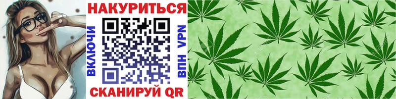 купить  цена  Новый Уренгой  OMG ссылка  Бошки марихуана семена 